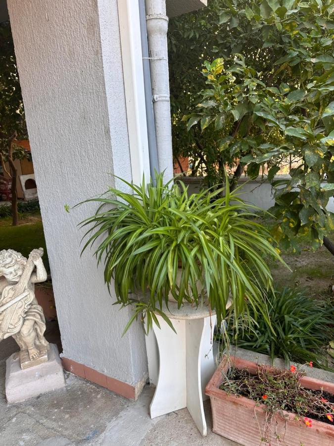Ajoaolbia B&B Exterior photo